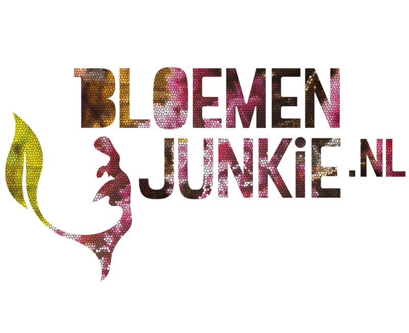 portfolio Bloemenjunkie logo