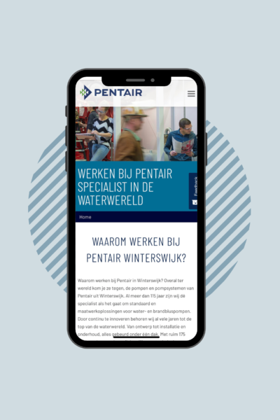 Pentair werken bij website